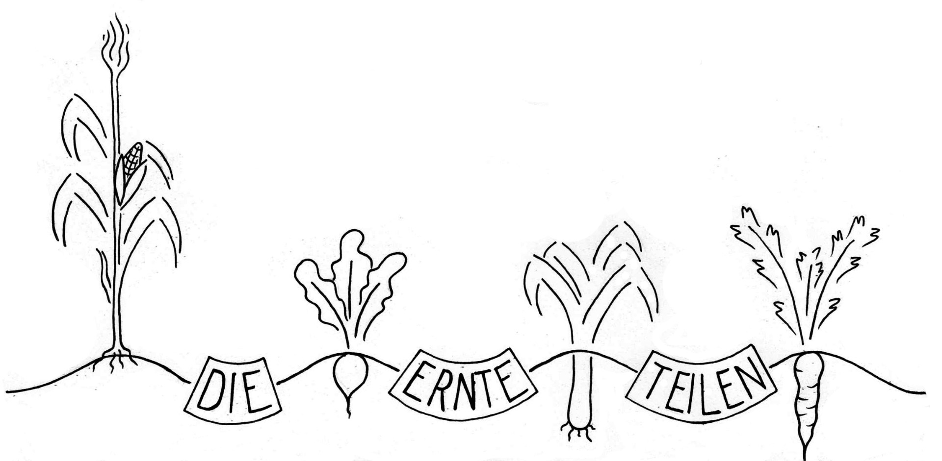 Wer sind wir :: solawi-wangen.de